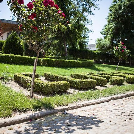 Elisso Hotel Kimmeria Bagian luar foto