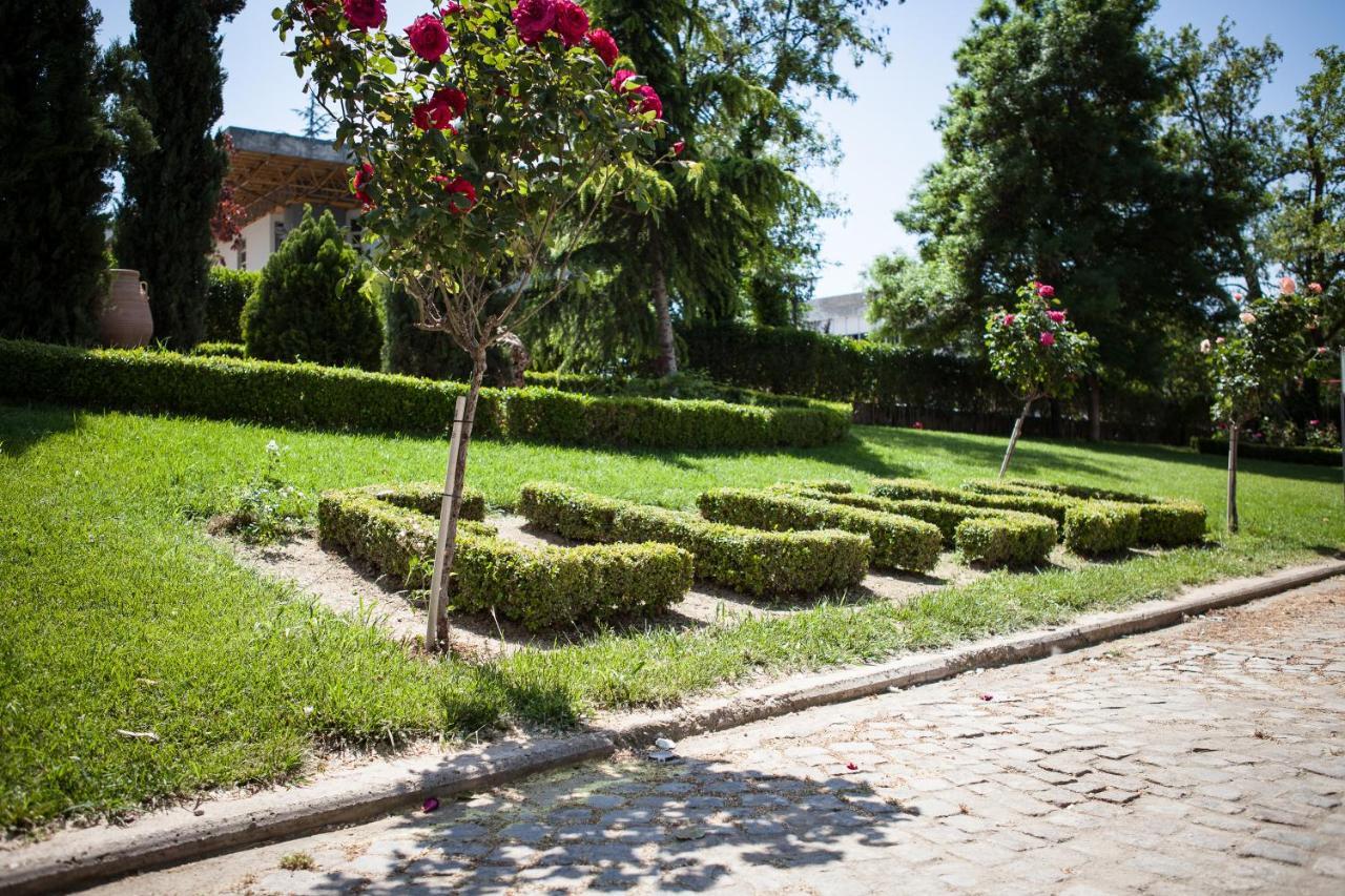 Elisso Hotel Kimmeria Bagian luar foto